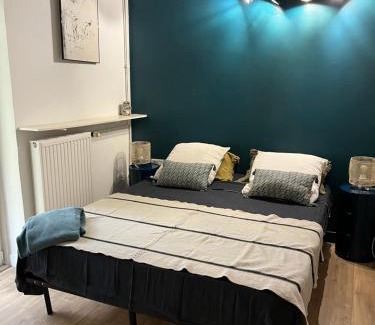 Les Halles - Valliere Apartment | T2 jardin centre ville RUE ROSSINI