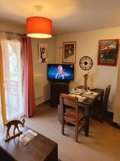 Font-Romeu-Odeillo-Via Apartment | T2 pic de l’ours Fontromeu