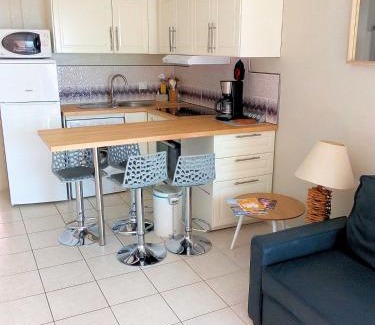 Balaruc-les-Bains Apartment | T3 VUE ETANG