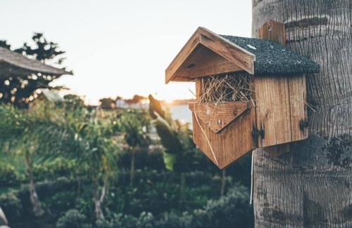 Tingaki Villa | Taf Boutique Beachfront 3 bedroom villa