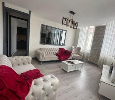 Tain-l'Hermitage Apartment | Tain centre -T3- wine themed apartment