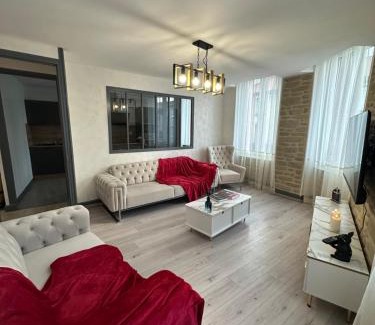 Tain-l'Hermitage Apartment | Tain centre -T3- wine themed apartment