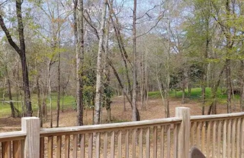 Daphne House | "Take the Scenic Route"