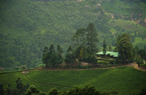 Kannan Devan Hills Hotel | Talayar Valley Bungalow