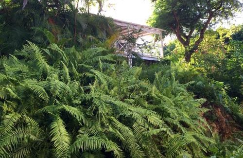 Merlin Bay House | Tamarind Cottage by Bluescape