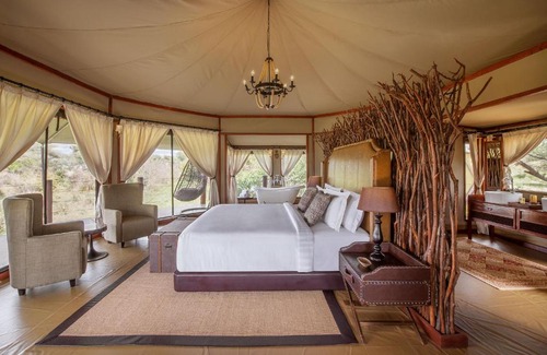 Tarangire National Park Other | TARANGIRE KURO TREETOP LODGE