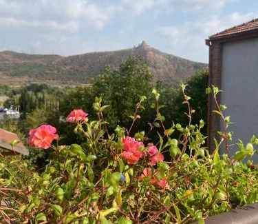 Mtskheta Hotel | Tatin - Hotel & Café in Mtskheta