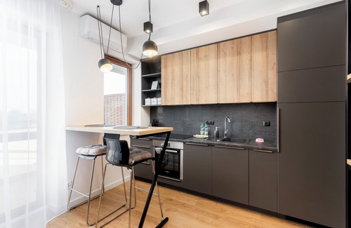 Grzegorzki Apartment | Tauron Arena Modern Apartment