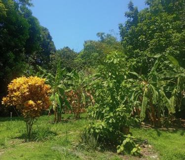 Mata de Platano House | Tayrona Fercho's House
