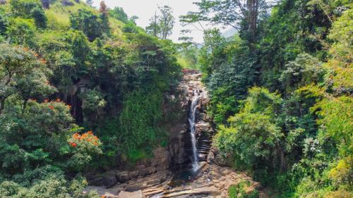 Nawalapitiya Hotel | Tea Cottage Resort & Spa