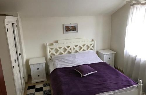 Cocani Crevedia House | Teachers
