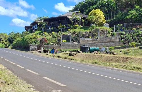 Moorea-Maiao House | Tehuarupe Surf Studio 2