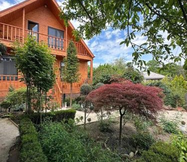 Telavi Apartment | Telavi guesthouse