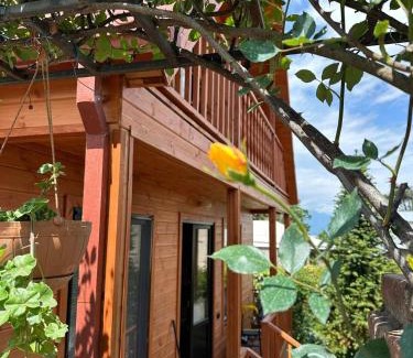 Telavi Apartment | Telavi guesthouse