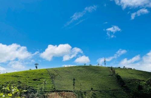 Elappara Other | TENT LIFE