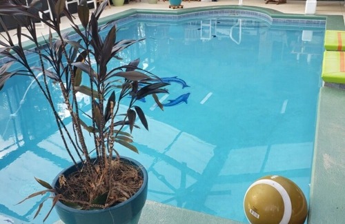 Cottondale RV Rental | Tent Site on Tranquil Grounds. Indoor Inground Pool.