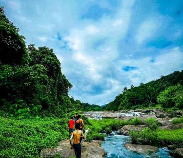 Devikolam Other | Tent stay mankulam
