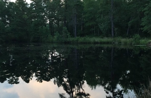 Birmingham RV Rental | Tentrr Signature Site - Pinelands Getaway