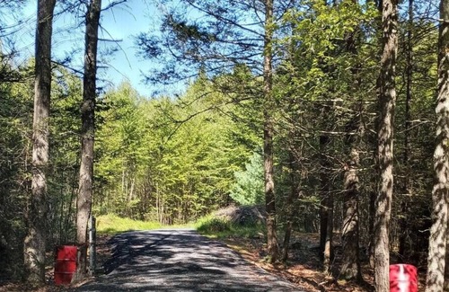 Sparrow Bush RV Rental | Tentrr Signature Site - Shady Pines Campsite