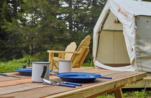 Sparrow Bush RV Rental | Tentrr Signature Site - Shady Pines Campsite