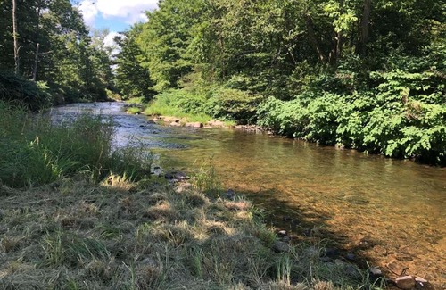 Newfoundland Other | Tentrr Signature Site - Wallenpaupack Creek Camp 4