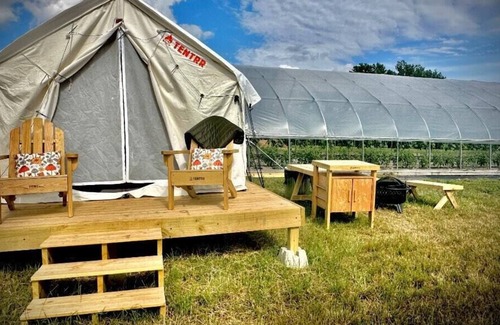 Spring Hill RV Rental | Tentrr Signature Site - Allenbrooke Farms Glamping Site 2