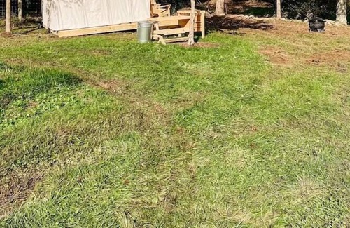 Mattawana RV Rental | Tentrr Signature Site - Piney Pond Retreat at Tuckaway Tree Farm