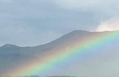 Waterbury RV Rental | Tentrr Signature Site - Rachel Lane Getaway