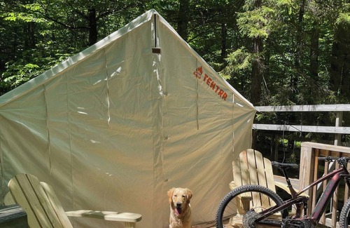 Hardwick RV Rental | Tentrr Signature Site - Treetops at Lake Wapanacki