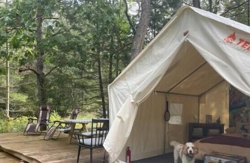 Accord RV Rental | Tentrr Signature Site - The Hudson Valley Luxury Glamping Forest Sanctuary