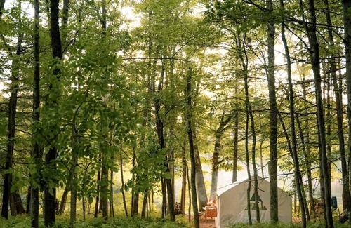 West Buxton RV Rental | Tentrr Signature Site - RIVERSIDE LAVENDER FARM