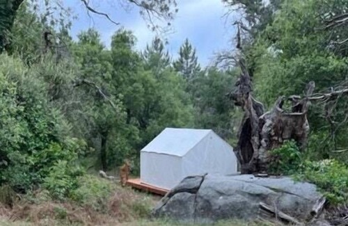 Julian RV Rental | Tentrr Signature Site - Woodland Camping at Manzanita Hill in Wynola
