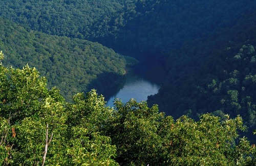 Gans RV Rental | Tentrr State Park Site - WV Coopers Rock State Park - Site H - Single Camp