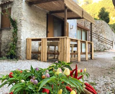 Cetara House | TENUTA BOSCO-Casa Vacanze