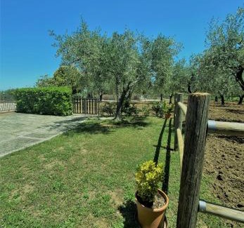 Vasto House | Tenuta Del Casale