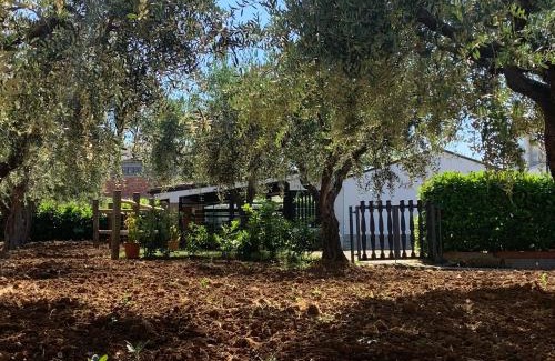 Vasto House | Tenuta Del Casale