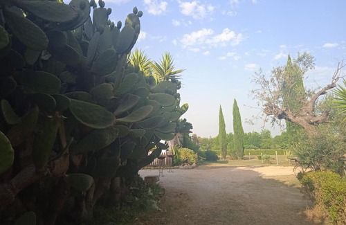 Aradeo Bed & Breakfast | Tenuta il Vecchio Torrino - B&b