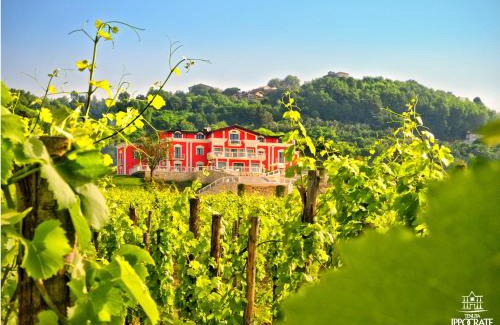 Montefredane House | Tenuta Ippocrate
