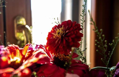 Putignano House | Tenuta Ulivi