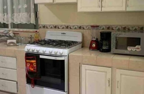 Tequisquiapan Apartment | Tequisquiapan