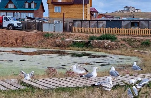 Khuzhir House | Teremok Guest House