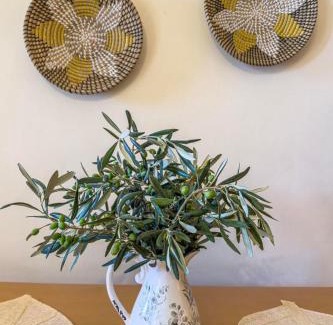 Karystos House | Terra Calma Residence 2