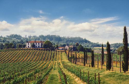 Ponte de Lima House | Terra Rosa Country House & Vineyards
