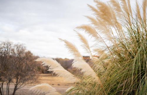 Cornville House | Terracotta Cove - Sedona, Jerome, Wineries