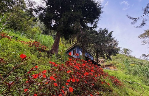 Floridablanca Cabin | Terrific cabin in Floridablanca, Santander, Colombia!