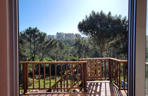 Wilderness House | Test Property