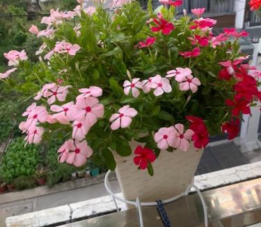 Linh Trung IEPZ House | Thủ Đức home