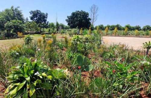 White River House | The Acres Home