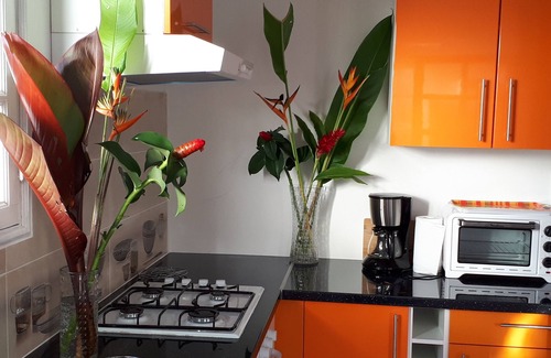 Basse-Terre Apartment | THE ALPINIAS ROSES appart N ° 2