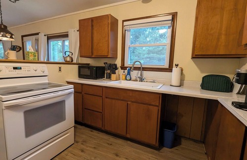 Herron Cabin | The Atwood Lodge | Secluded Cabin in Curran MI